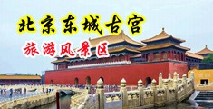 暴乳后入中国北京-东城古宫旅游风景区